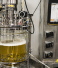 The Role of Precision Fermentation in the Future of Sustainable Healthcare