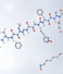 Beyond Wegovy: How the Obesity Drug Race Is Reshaping Life Sciences in 2026