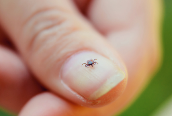 1200 x 600 (43) Credit: Adobe Stock Images
