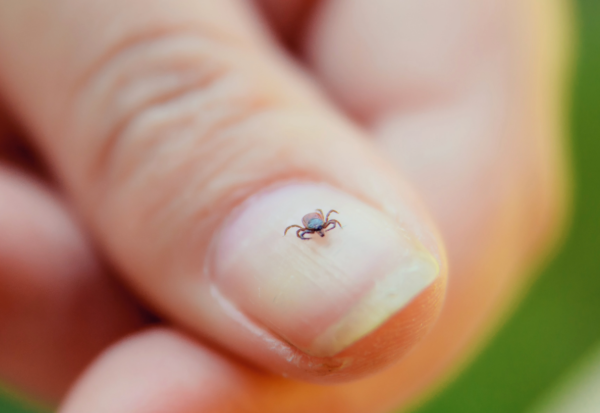 Credit: Adobe Stock Images